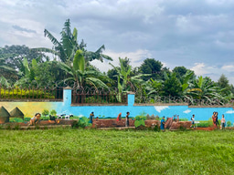 Empowering GBV Survivors in Eastern Uganda: LiA Showcase 2023