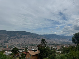 LiA with Makesense in Medellin, Colombia - Week 4