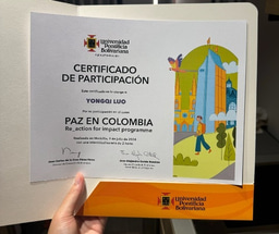 Reflection on the LiA project in Medellin, Columbia