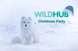 WildHub Christmas Celebration (Wed 14th Dec 2022 @ 5pm GMT)