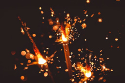 "Back to school" - the Essentials course for WildHub Coaches