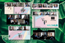 Join our next WildHub Social 11th Jan 12.15pm & 4pm GMT