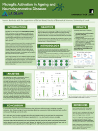Microglia Activation in Ageing and Neurodegenerative Diseases