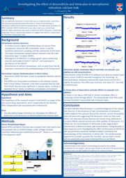 Research Poster - Investigating the effect of doxorubicin and tetracaine in sarcoplasmic calcium leak