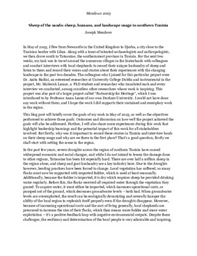 Sheep_of_the_sands - Laidlaw Year 2 Output 1 - LiA