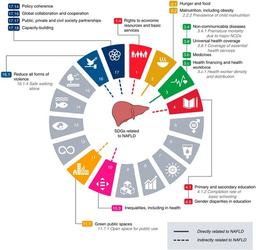 A Q&A with Prof Jeff Lazarus on SDG3