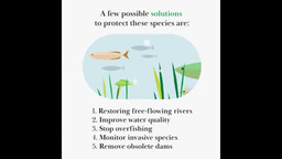 The overlooked value of freshwater fish