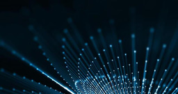 Publishing to a Collection: A view for Early Career Researchers 