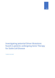 Investigating Driver Mutations found in Patients undergoing gene therapy for Sickle Cell Disease