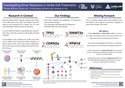 Research Project - Poster