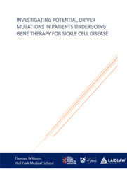 Research Project - Paper