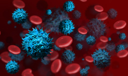 Editors' highlights: Blood Cancer Awareness Month