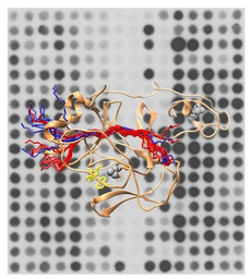 Publication describing discovery of NSD2 non-histone substrates and design of a super-substrate