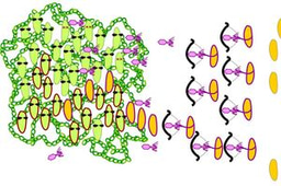 Social interactions in biofilms shaped by awoken mobile genetic elements