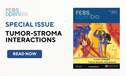 In the Limelight: Tumor-Stroma Interactions