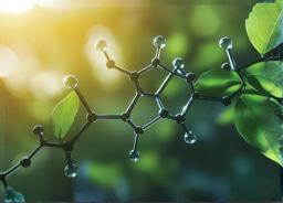 In the Limelight: Bioplastics and Biopoylmers