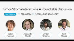 FEBS Open Bio Webinar: Tumor-Stroma Interactions: A Roundtable Discussion