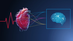 Prediction of atrial fibrillation from at-home single-lead ECG signals without arrhythmias