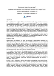 [REPORT] Do sounds affect how we see?