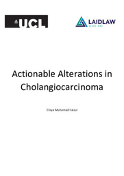 Reflective Essay - Precision Medicine in the Treatment of Bile Duct Cancer