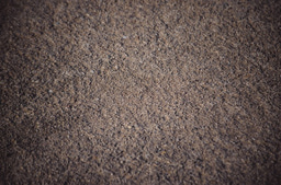 What lives in our dirt? A handful of bacterial species dominate soils across the globe.   