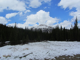 The soil remembers: climatic legacies help explain the current global distribution of bacterial communities.  