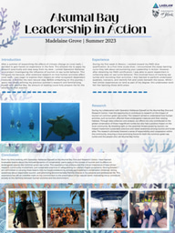 LiA Showcase: Akumal Bay