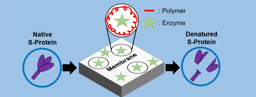 Membrane Mask with Enzyme-Coating for Capture and Deactivation of SARS-CoV-2 Spike Glycoprotein