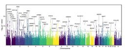 Understanding the genetics of musical beat synchronization  