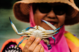 Looking for UK Collaborator for an ISPF Grant.