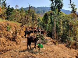 Shared infections at the wildlife–livestock interface and their impact on public health, economy, and biodiversity