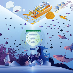 Defining priorities for ocean microbiome research