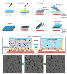 A universal close-space annealing strategy toward high-quality perovskite absorbers enabling efficient all-perovskite tandem solar cells
