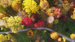 Climate change increases global risk to urban forests