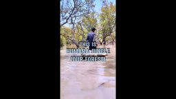 Trailer - Our Forest - Humara Jungle