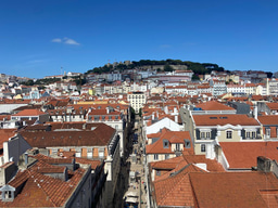 Catalysis for a sustainable world