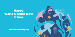 Community highlights for World Oceans Day