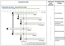 Empirical evidence on the efficiency of backward contact tracing in COVID-19