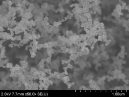 Science Education and Problem Based Learning (PBL)