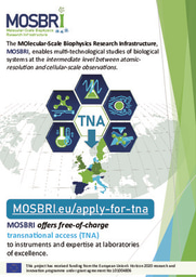 MOSBRI TNA Flyer