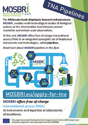 MOSBRI TNA Pipelines