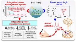 Efficient iontronics is needed in the post-Moore era