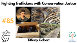 Restore Our Planet Podcast #85 Fighting Traffickers with Conservation Justice: Tiffany Gobert