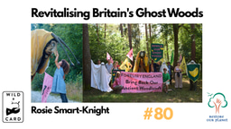 Restore Our Planet Podcast #80 Wild Card: Revitalising Britain's Ghost Woods. Rosie Smart-Knight