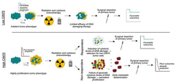 Expression of a proliferation signature predicts sensitivity to genotoxic chemotherapy in oligometastatic colorectal cancer