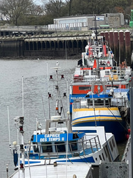The collapse of North Sea cod: driven by climate or fishing?