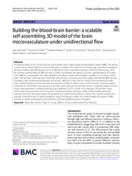 Building the blood-brain barrier: a scalable self-assembling 3D model of the brain microvasculature under unidirectional flow