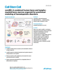 comBO: A combined human bone and lympho-myeloid bone marrow organoid for preclinical modeling of hematopoietic disorders