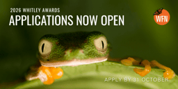 Apply for a 2026 Whitley Award