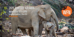 Whitley Awards 2025: Livestream